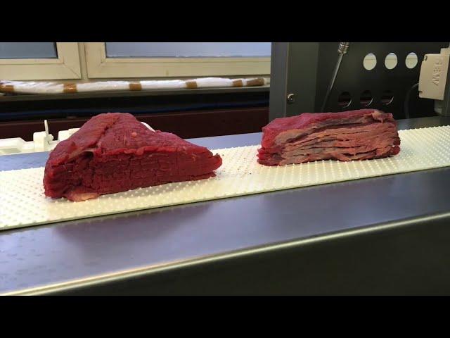 Slicer Thielemann BBS1 - промышленный слайсер автоматической нарезки мяса, филе птицы.