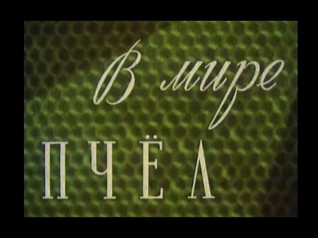 В мире пчел  - фильм 1953г