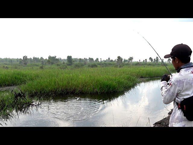 Gak perlu susah susah mancing ikan bray