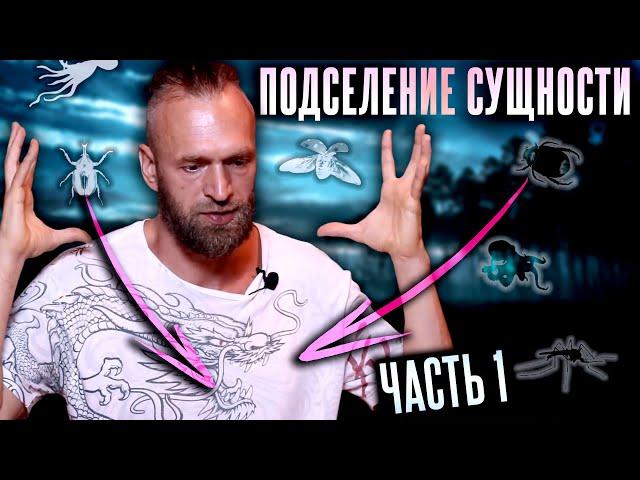 Астральные сущности #1: Что такое лярвы? Как выглядят? Какие бывают? Подселение сущности