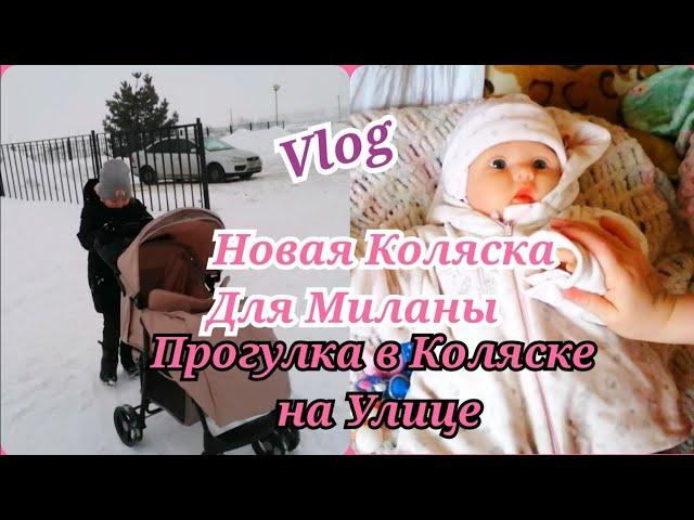 НОВАЯ КОЛЯСКА ДЛЯ РЕБОРНА /ВЛОГ/ Покупки для реборна #куклареборн #rebornbaby #влог