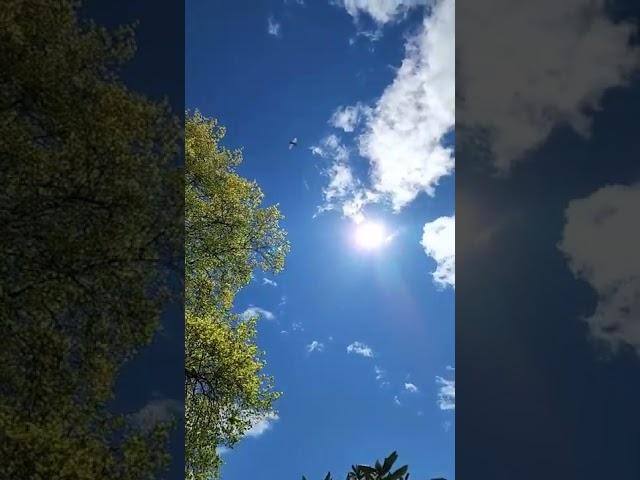 Beautiful Sun Blue Sky Clouds | my original video #shorts #clouds #nature #relaxing #bluesky