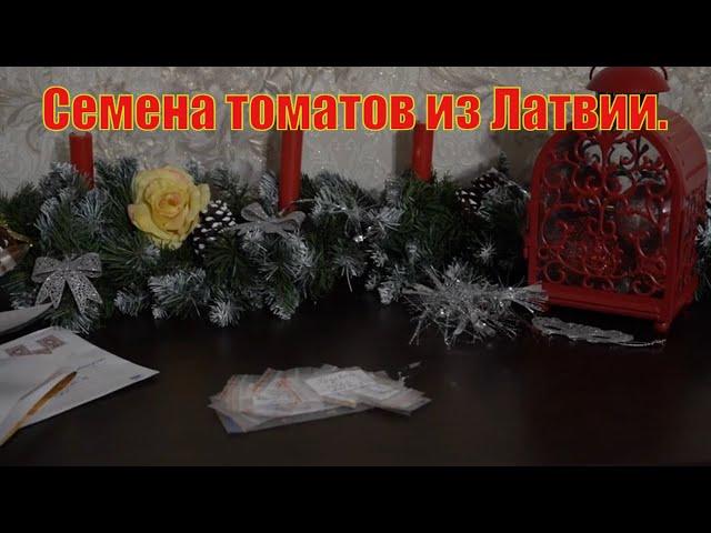 Подарки от подписчиков. Семена томатов для открытого грунта  с Латвии!