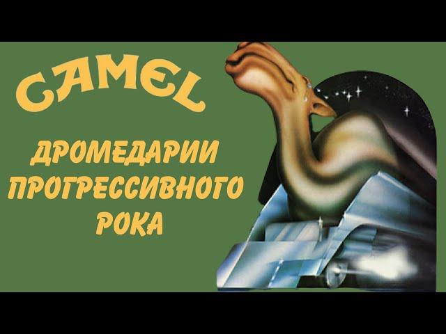 Camel - progressive rock dromedaria