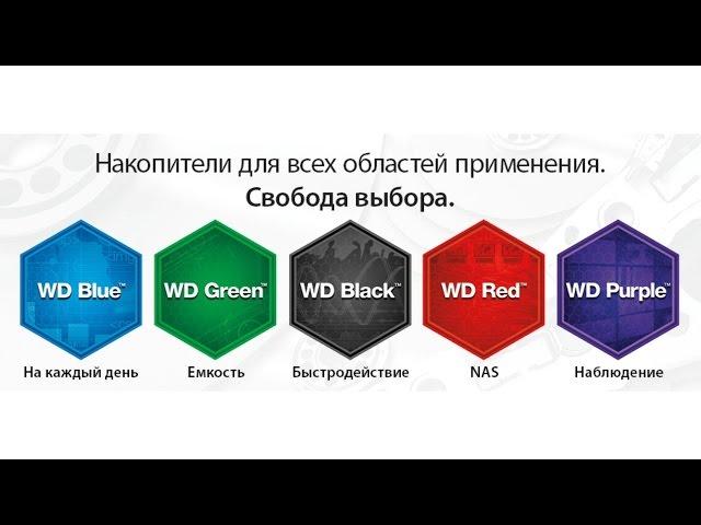 Зачем нужен WD Purple и другие цветные винчестеры от Western Digital?