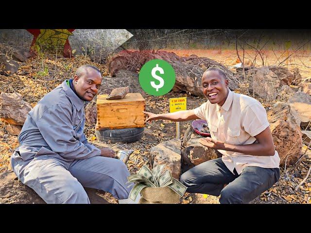 How He Became a PROMINENT Bee Keeper in Zimbabwe