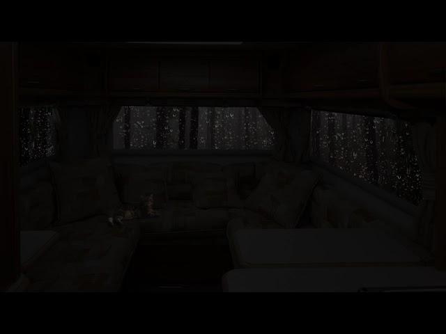 Rainy Night in Motorhome Ambience - Rain & Gentle Thunder Sounds With Cute Cat Helps Sleep Better