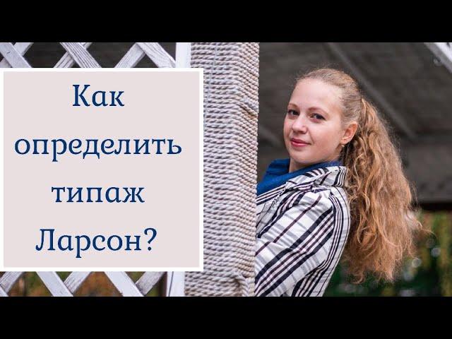 Как определить свой типаж Ларсон?