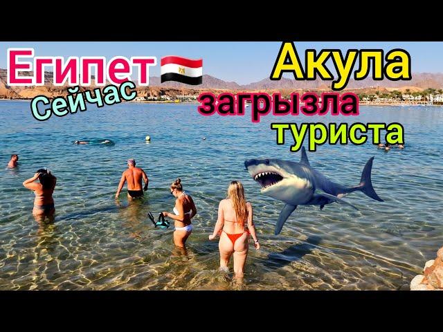 Акула СЪЕЛА туриста в Египте  УЖАС на курорте Хургада️ Как это случилось? Что с АКУЛОЙ? Новости