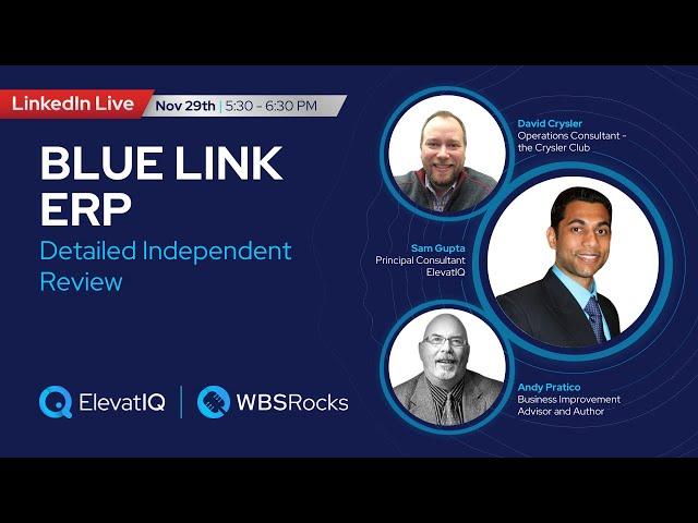 Blue Link ERP Detailed Independent Review