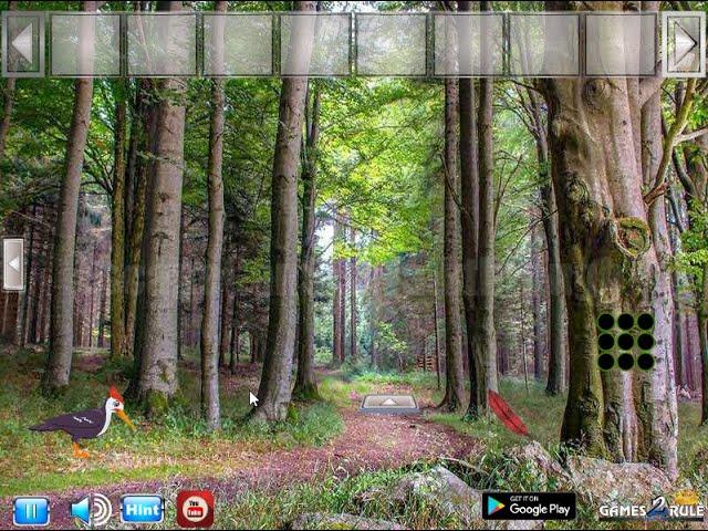 G2R Escape From Foliage Forest Walkthrough [Games2Rule]