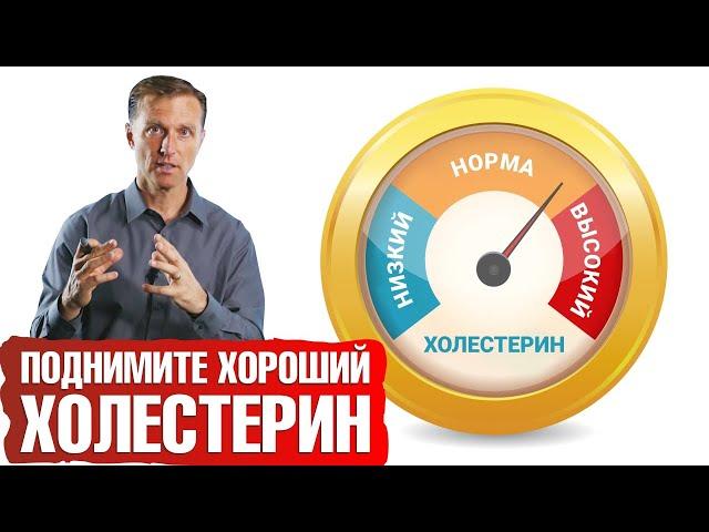 Как повысить хороший холестерин? 14 средств для повышения ЛПВП