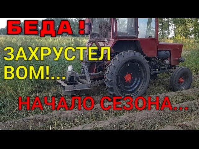 КОШУ БУРЬЯН НА КАРТОШКЕ ! Опять БЕДА в начале сезона! Отказал ВОМ...