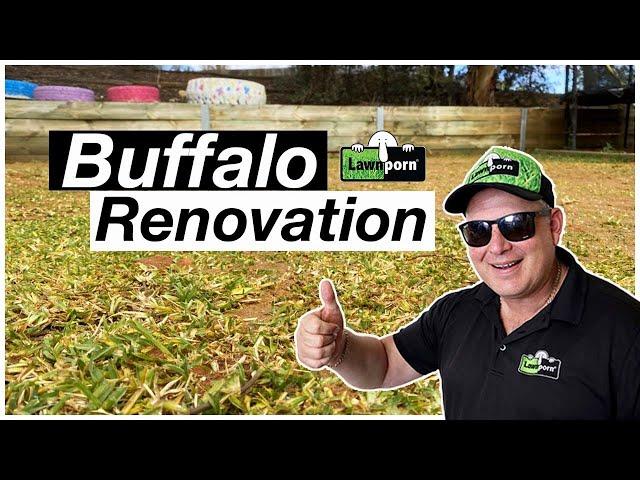 Buffalo Renovation // Start to Finish // Using Simple Tools // St Augustine/Sir Walter Buffalo Reno