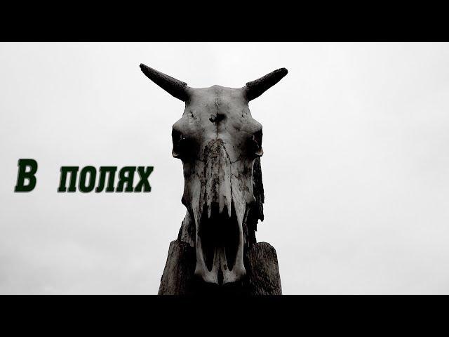 В полях.Коп на пустошах.