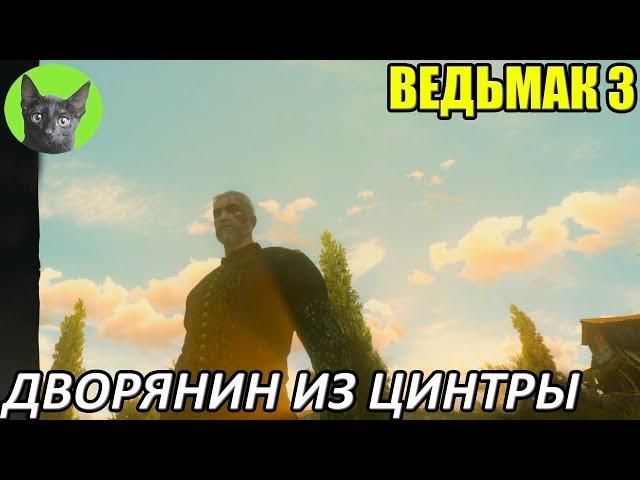 Ведьмак 3 - Интересности - Дворянин из Цинтры