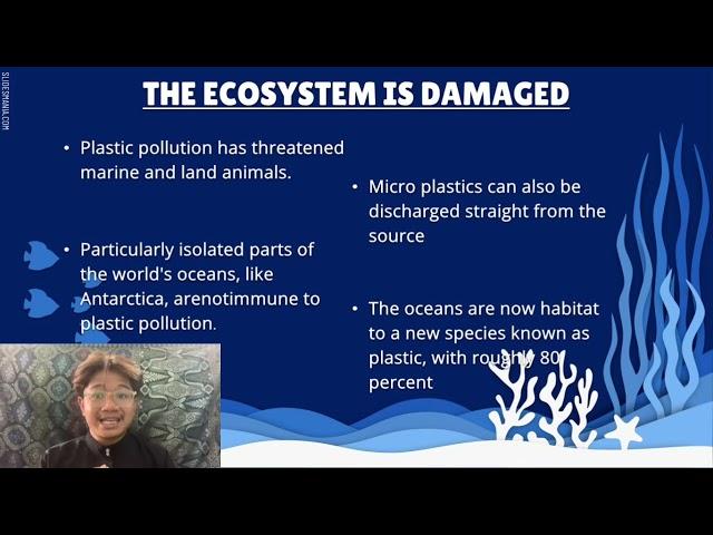 The Effect Of Plastic Pollution (Speech)