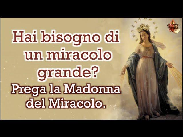 Hai bisogno di un miracolo grande?  Prega la Madonna del Miracolo