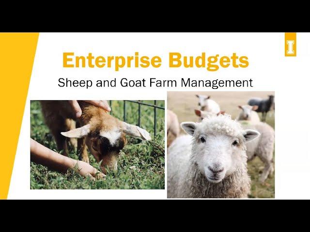 Enterprise Budgets   Sheep & Goat Farm Management