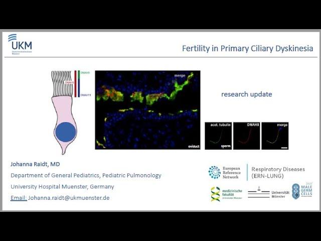 3b - Research updates:  Fertility - J. Raidt