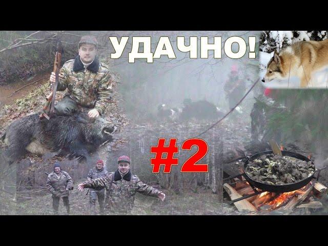 Загонная охота. Кабаны. 18 декабря 2016г.