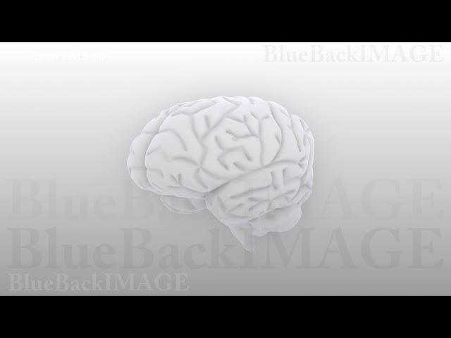 Brain anatomy human body idea mind concept mental Brain 2 A1S HD