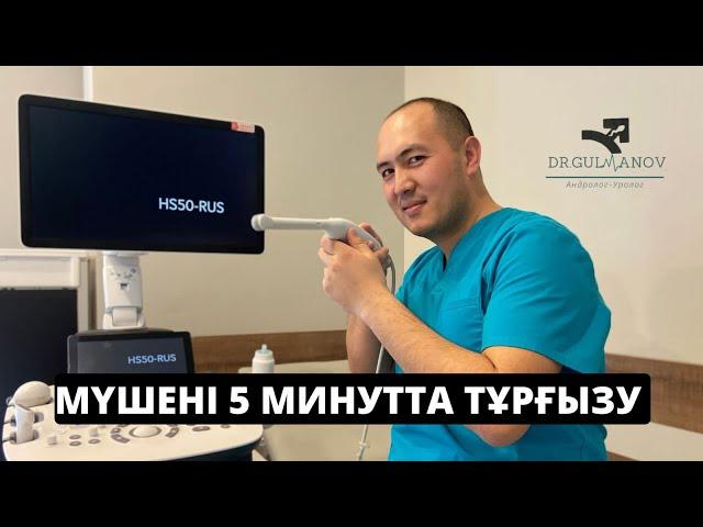 Мүшені қалай 5 минутта тұрғызудың 5 тәсілі | Уролог маманның нұсқаулығы