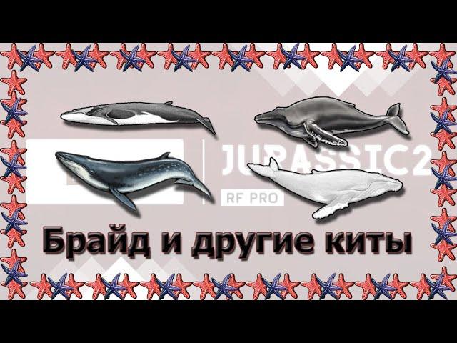 Русская Рыбалка 3.99 Ловим звезды с кашалотами