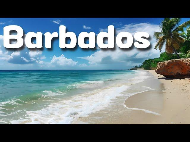 10 Best Things to Do in Barbados