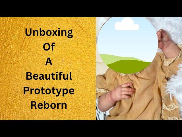 Unboxing Reborn Purchased In November 2023~Prototype By LaDonna Briggs!!