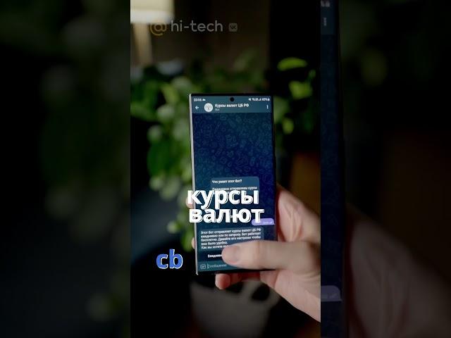 Топ-5 полезных ботов для Telegram