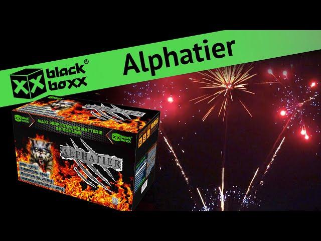 Blackboxx - Alphatier