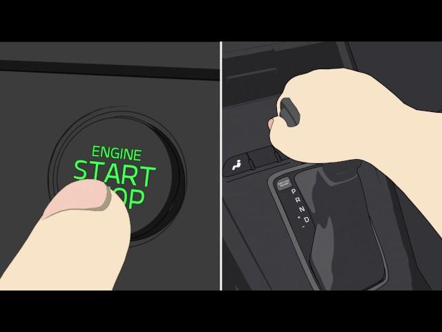 How to use shift lock release - Kia Motors Qatar