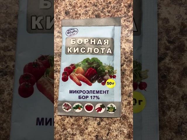 Многолетники в Светофоре! Краткий обзор садовых новинок.