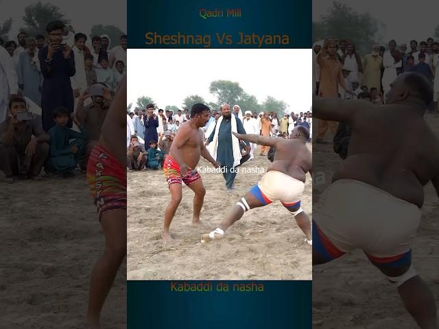 Sheeda Sheshnaag Kabaddi #youtubeshorts #shorts #kabaddi
