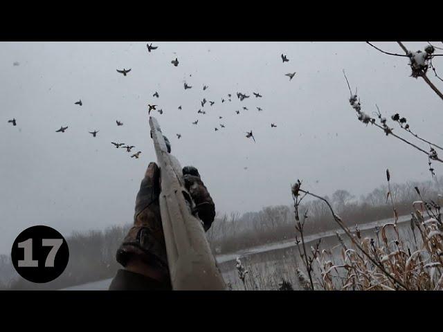 Huge Flocks of Mallards In the Snow!!! : Duck Hunting 2023