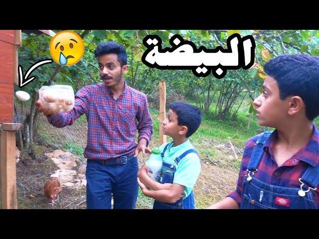 حصلنا 10 بيضات في المزرعة