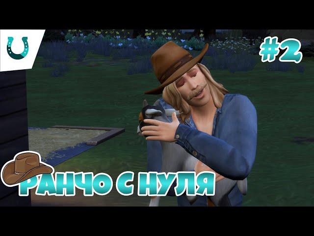 Козы, овцы... дети! // Ранчо с нуля Эп. 2// летсплей симс 4