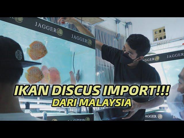 UNBOXING IKAN DISCUS IMPORT!!! DARI MALAYSIA - CINEMATIC VIDEO