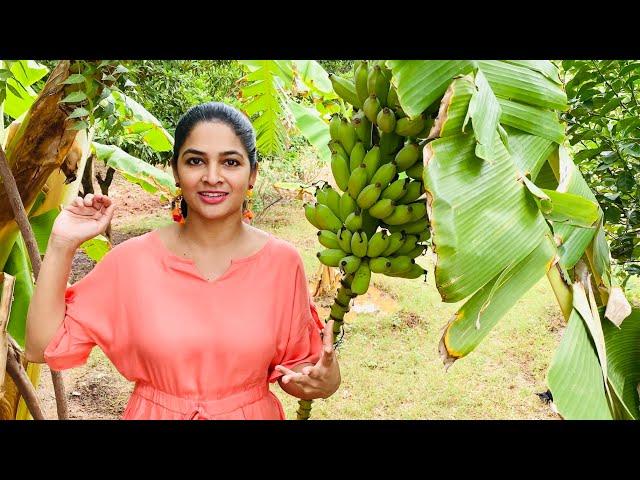 Beans fry || From farm kitchen by Madhumitha Sivabalaji