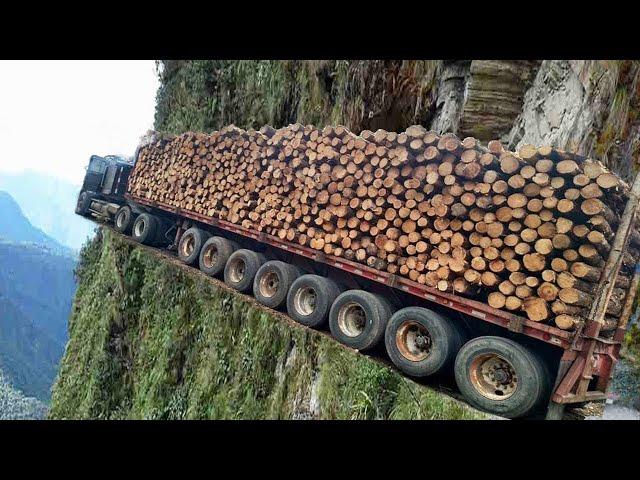 Extreme Dangerous Monster Logging Wood Truck Driving Skills, Climbing Loading Truck Heavy Equipment