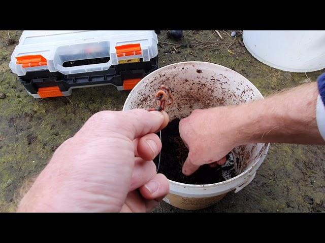 How to put worms on a fishing hook.