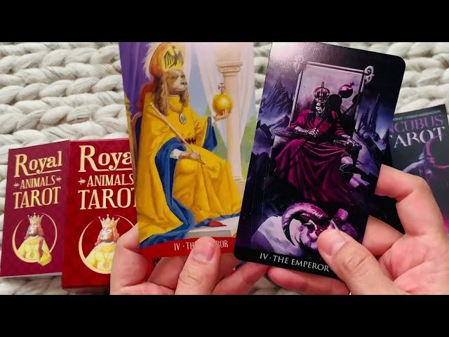 ️energy pairing️Lo Scarabeo Royal animal tarot & Incubus tarot unbox, flip through, review