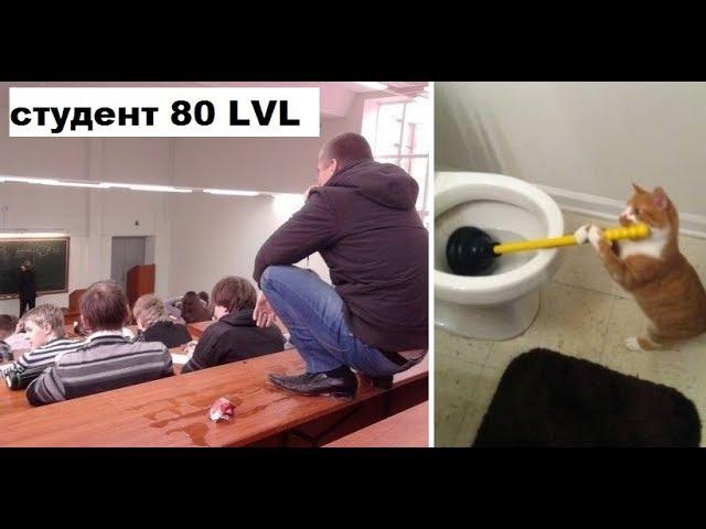 Лютые приколы интернета. Студент 80 уровня! Четкий!