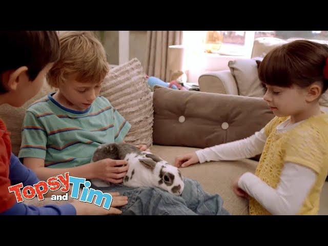 Topsy & Tim 212 - Wiggles needs his nails trimming! | Full Episodes | Shows for Kids | HD | NEW