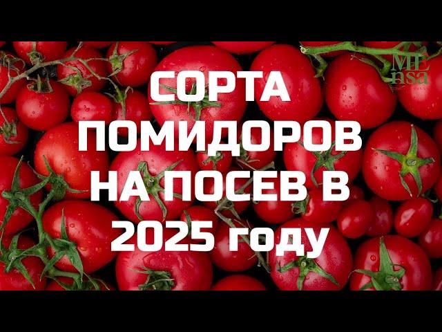 ВЫБИРАЕМ СОРТА ПОМИДОРОВ НА 2025 г.