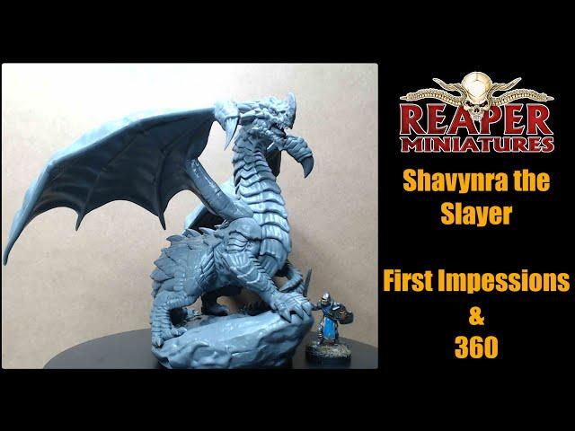 Reaper Miniatures, Shavynra the slayer, Dragon, D&D