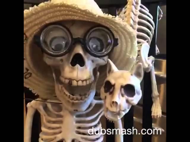 Crazy Bonez loves his soft kitty, warm kitty...