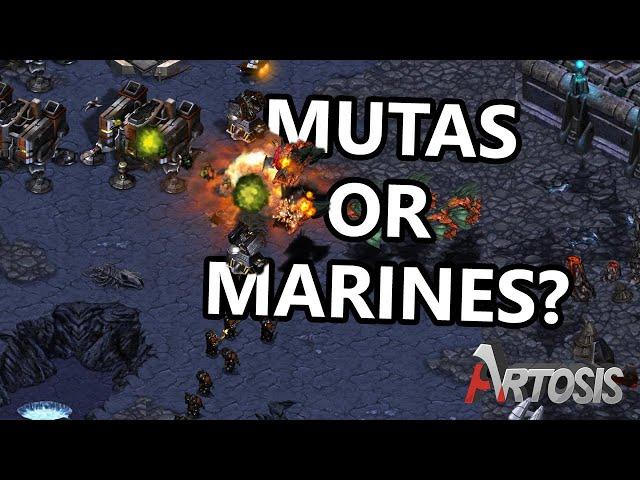 Swarms of Mutalisks! - Rush vs. Sacsri G1