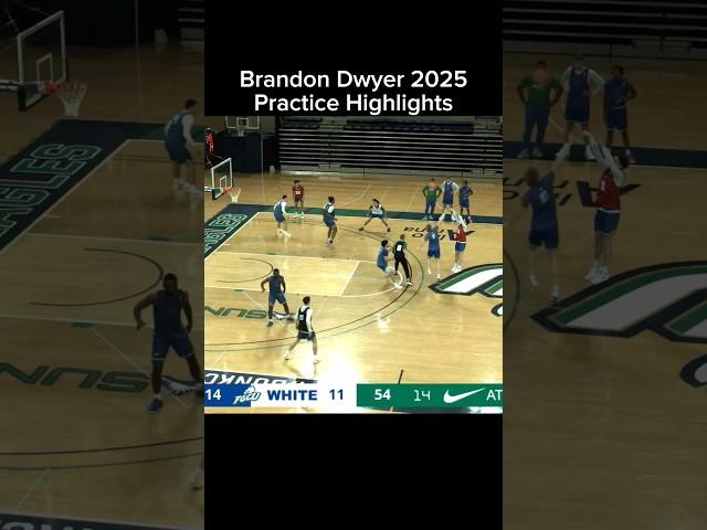 BRANDON DWYER HIGHLIGHTS